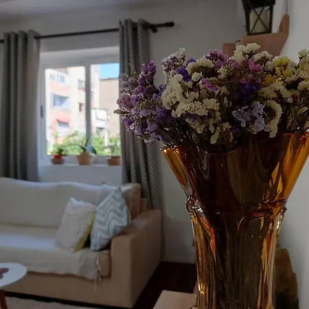 Apartment Tranquility Base *